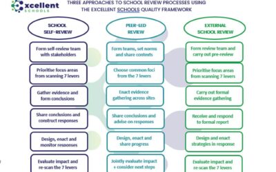 Three “low-stakes” approaches to school review.